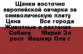 Щенки восточно европейской овчарки за символическую плату › Цена ­ 250 - Все города Животные и растения » Собаки   . Марий Эл респ.,Йошкар-Ола г.